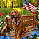Tucker