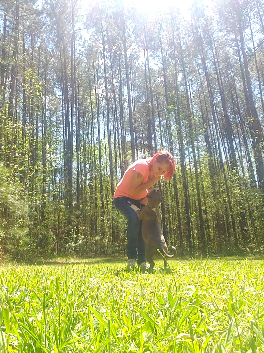 Pandora joined the competition — help win amazing prizes! field, forest, grass, grass_family, grassland, meadow, natural_environment, pasture, people_in_nature, plant, plantation, sunlight, tree, woodland