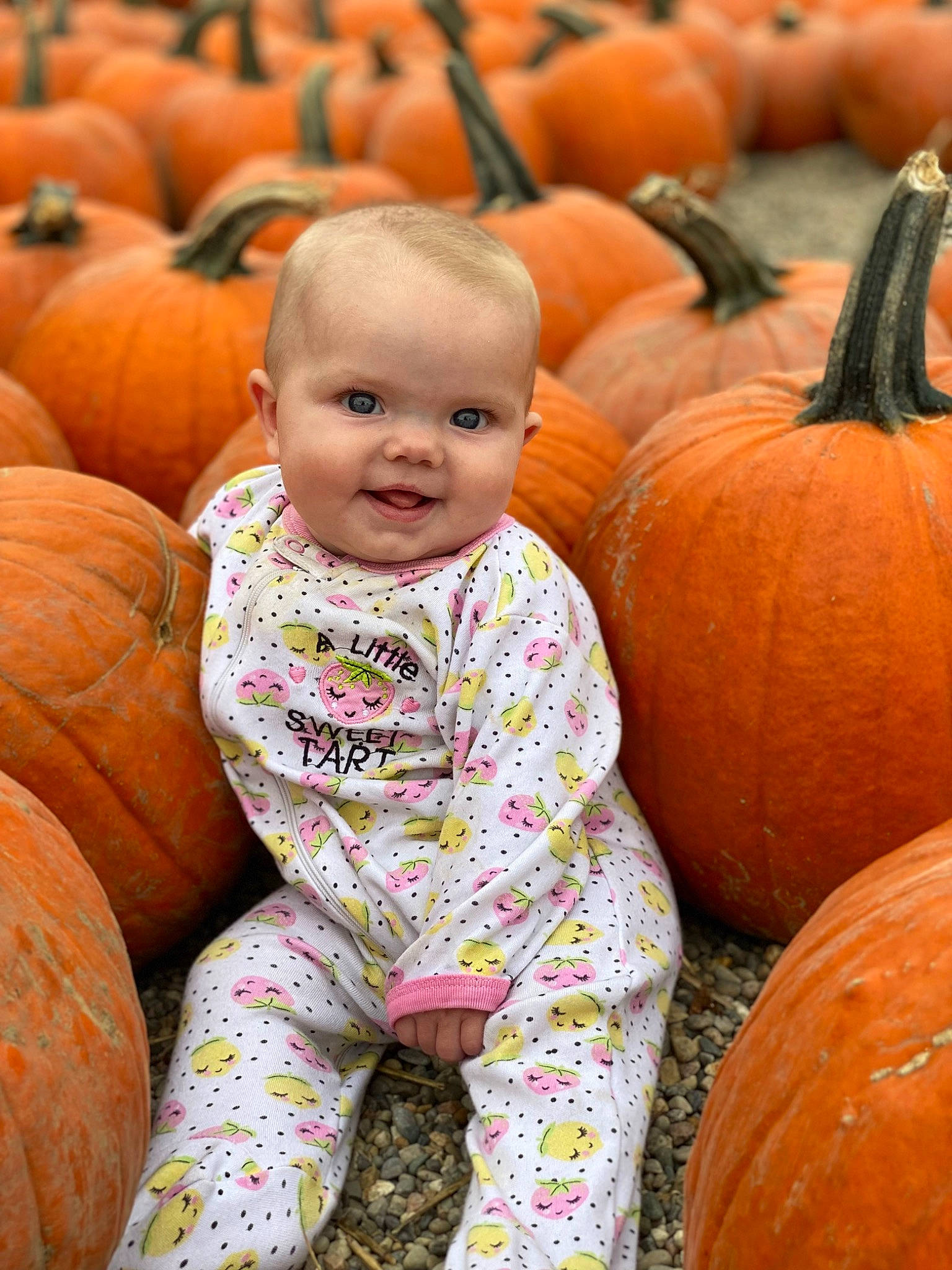 Scarlette joined the competition — help win amazing prizes! calabaza, eye, face, facial_expression, gourd, grass, green, happy, head, human_body, joy, natural_foods, orange, organ, people_in_nature, person, photograph, pumpkin, smile, squash