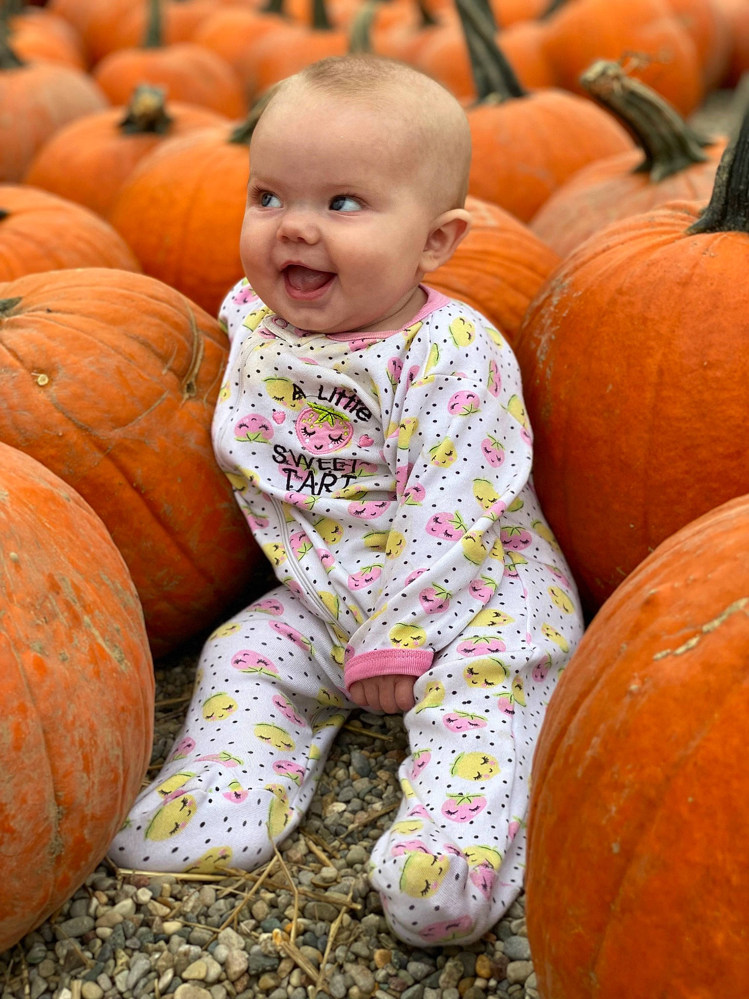 Scarlette joined the competition — help win amazing prizes! arm, calabaza, clothing, cucurbita, eye, facial_expression, green, head, human_body, leg, natural_foods, orange, person, photograph, plant, pumpkin, smile, squash, trousers, white