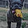 Bruno
