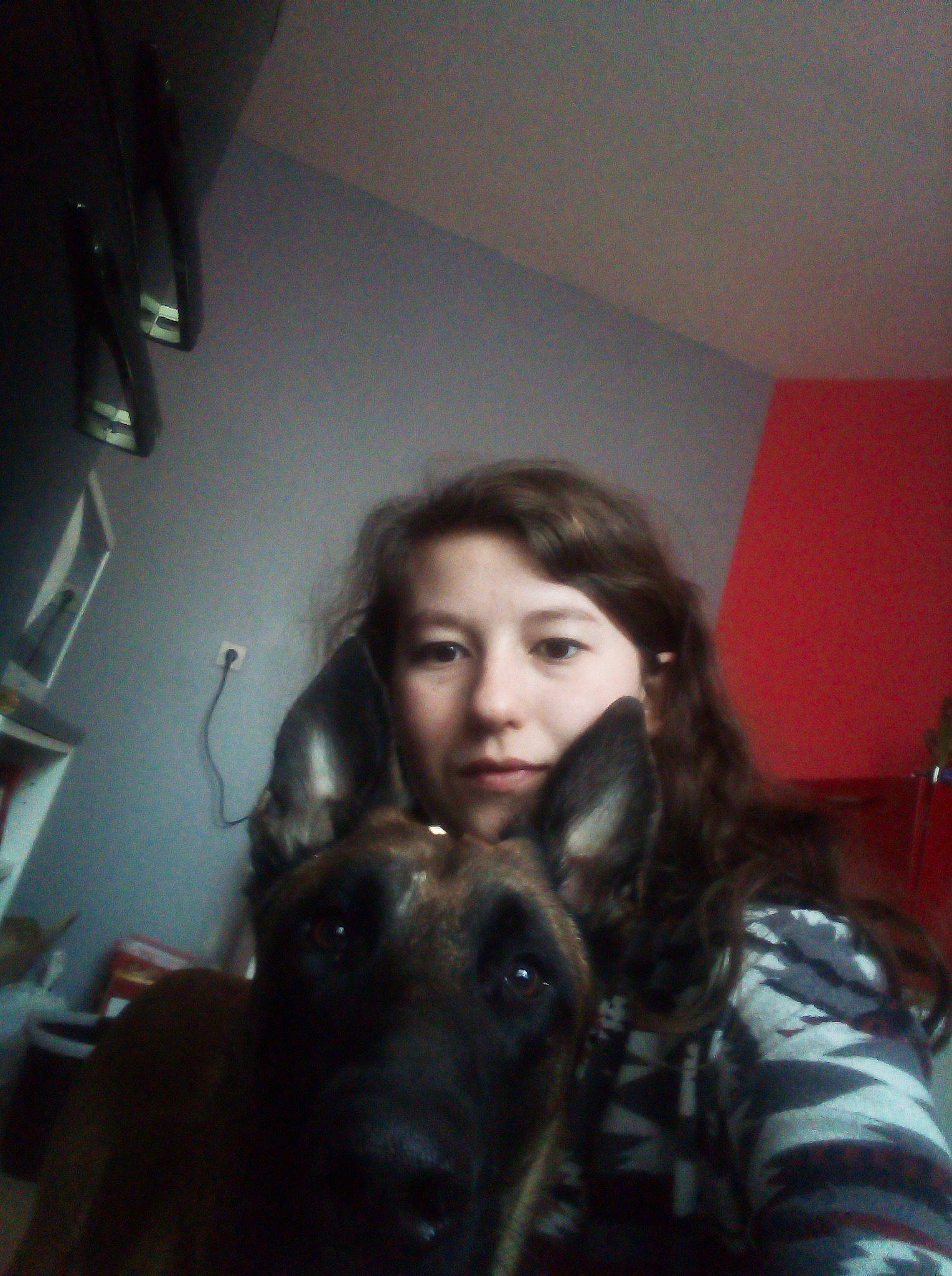 Naos a rejoint le concours — aidez-le/la à gagner de superbes lots ! canidae, carnivore, dog, dog_breed, fawn, fun, guard_dog, person, selfie, smile