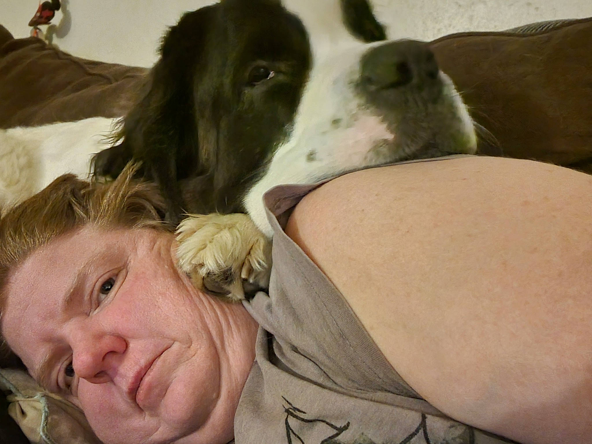 Tidlewave joined the competition — help win amazing prizes! carnivore, comfort, companion_dog, dog, dog_breed, facial_expression, fawn, fur, gesture, happy, human_leg, interaction, laugh, linens, nap, selfie, sitting, smile, tree, wrinkle