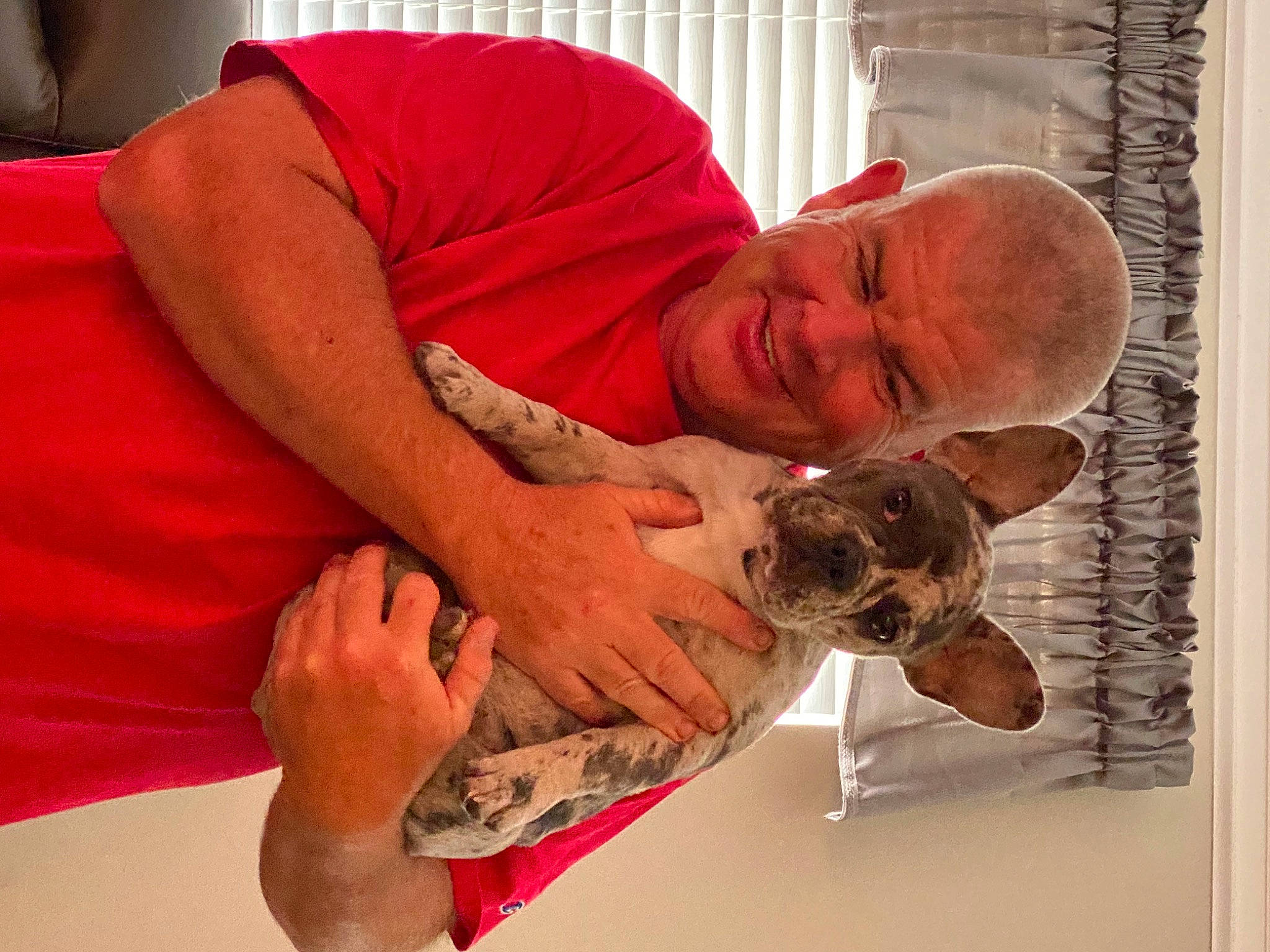 Ginger joined the competition — help win amazing prizes! art, child, comfort, elbow, event, flesh, fun, gesture, happy, jewellery, room, smile, t_shirt, tradition, tree, visual_arts, wrinkle, wrist