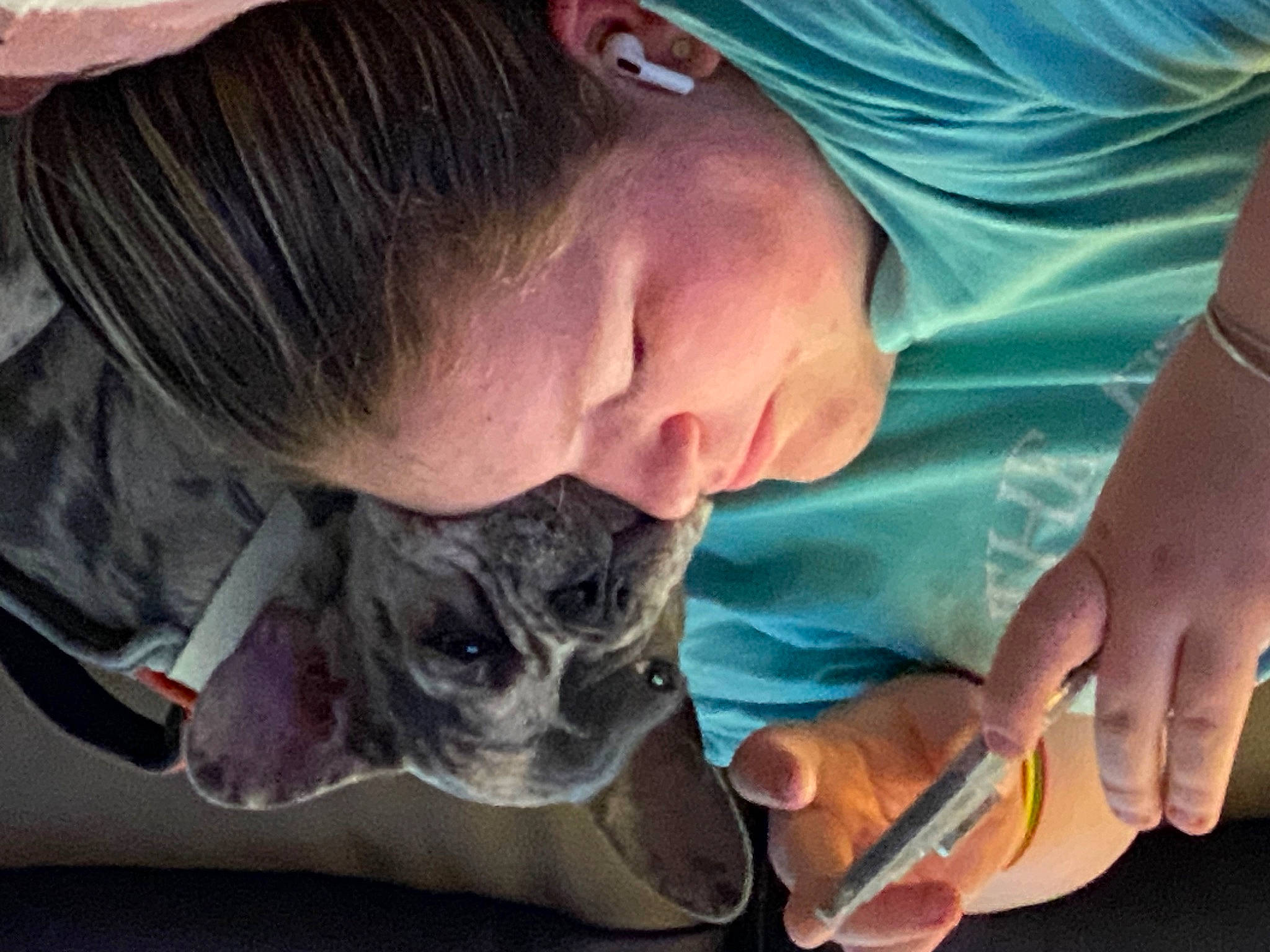 Ginger joined the competition — help win amazing prizes! baseball_cap, cap, carnivore, comfort, companion_dog, dog_breed, ear, eyewear, fawn, felidae, finger, fur, gesture, hand, jaw, leg, mouth, snout, sporting_group, whiskers