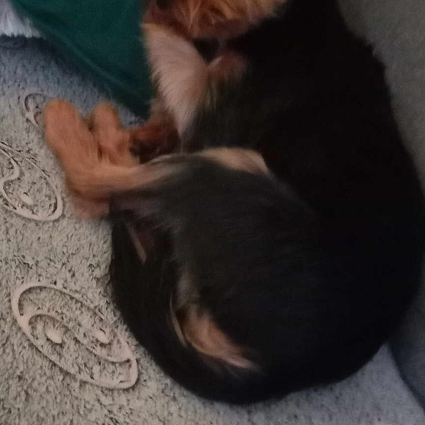 Cooper