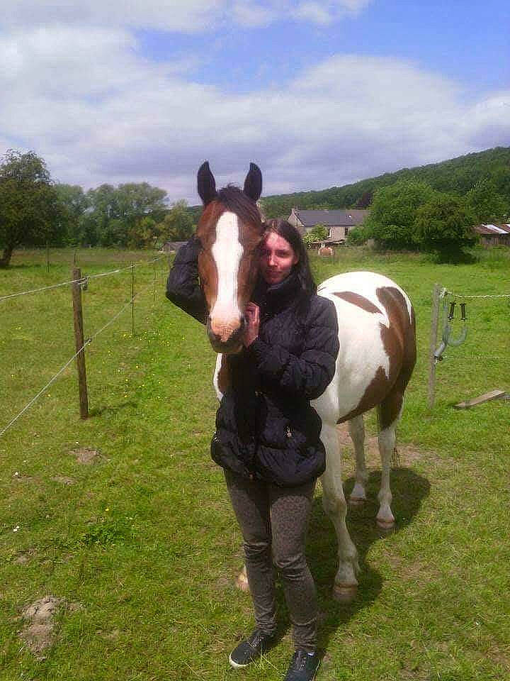 Junior participe au concours pour gagner de l'argent avec cette photo : grassland, horse, landscape, livestock, mammal, mane, mare, meadow, mustang_horse, pack_animal, pasture, person, pony, ranch, rural_area, snout, stallion, vertebrate, working_animal