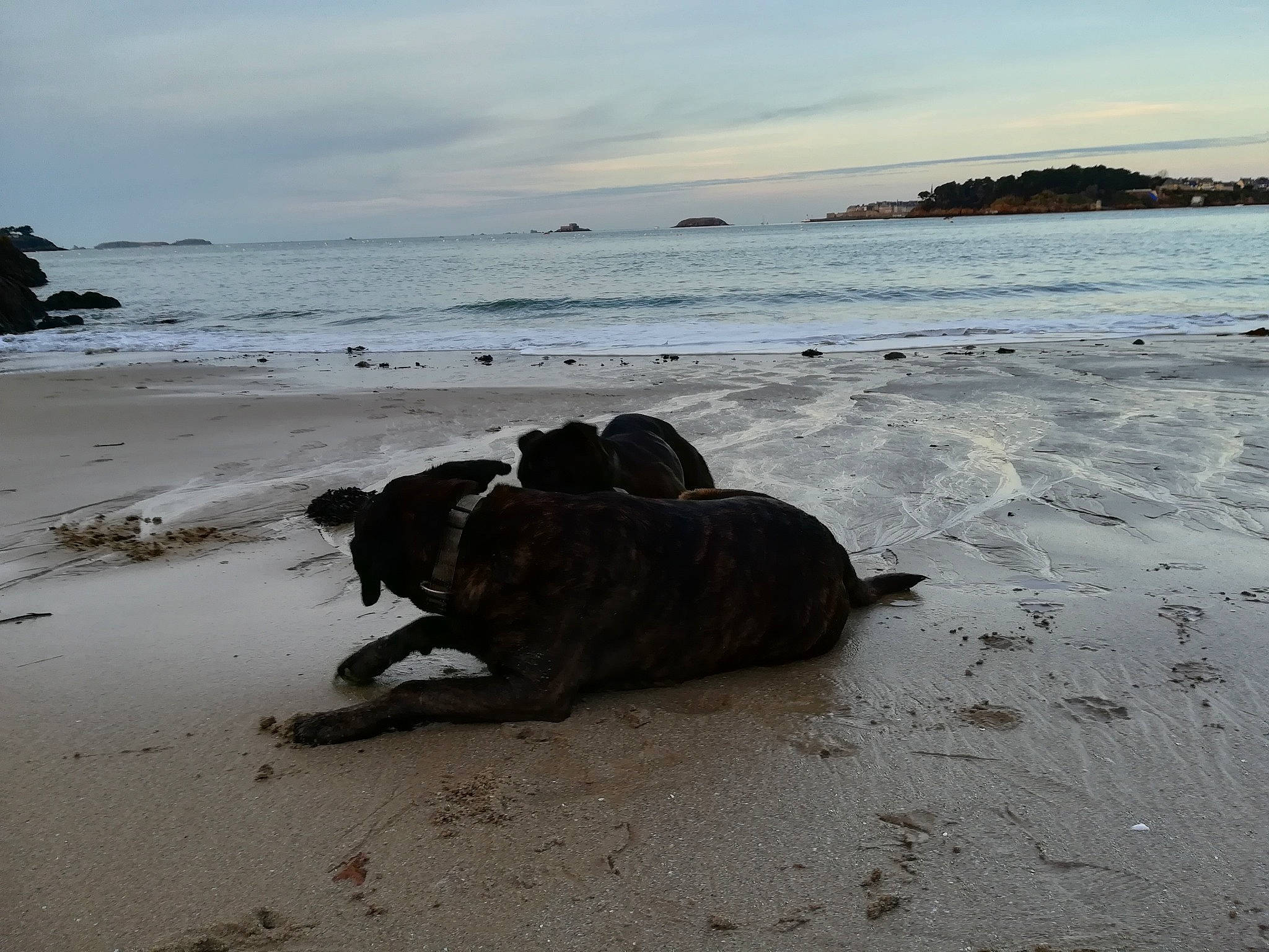 Glamour participe au concours pour gagner de l'argent avec cette photo : beach, calm, canidae, cloud, coast, coastal_and_oceanic_landforms, horizon, mountain, ocean, rock, sand, sea, shore, sky, sporting_group, tree, vacation, water, wave, wind_wave