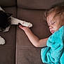 toddler, child, sleeping, blanket, cat, pet, couch, hand, paw, fur, indoor, rest, cozy, cute, animal, friendship, peaceful, portrait, soft, relaxation