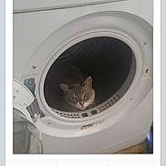 Lolita participe au concours pour gagner de l'argent avec cette photo :
