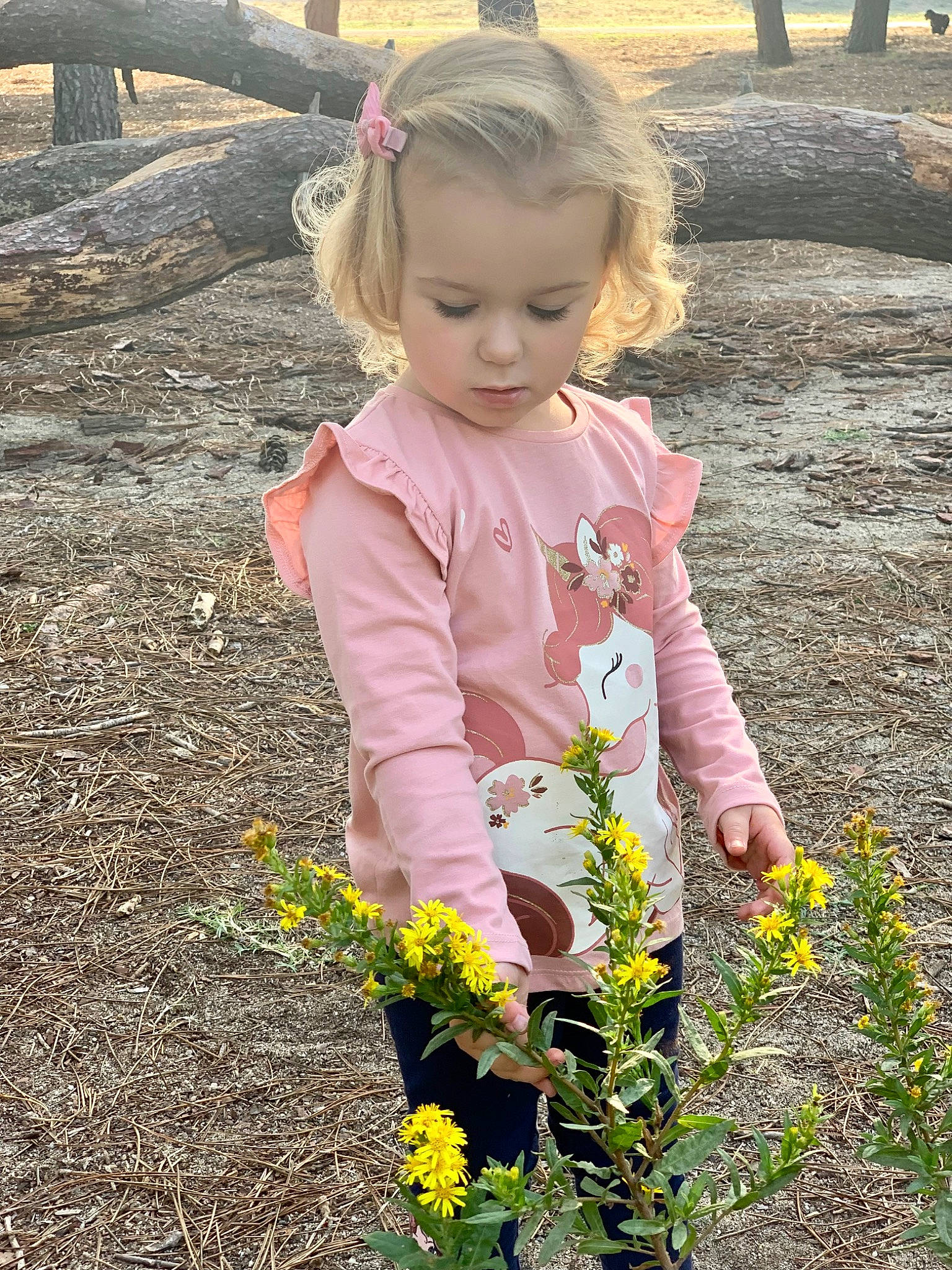 Anna participe au concours pour gagner de l'argent avec cette photo : baby_toddler_clothing, botany, child, face, flower, fun, grass, hair, happy, head, iris, jeans, leaf, people_in_nature, person, petal, photograph, plant, summer, toddler