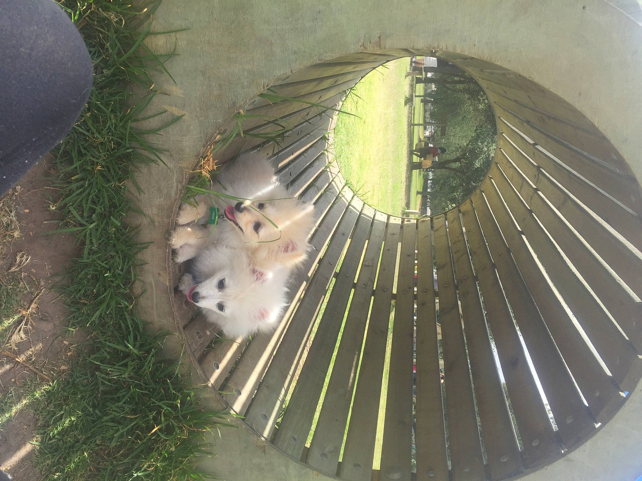 Lucas joined the competition — help win amazing prizes! aircraft_engine, auto_part, automotive_tire, automotive_wheel_system, circle, concrete, daylighting, engineering, flooring, grass, landscape, machine, metal, plant, road_surface, sidewalk, spiral, stairs, urban_design, wheel