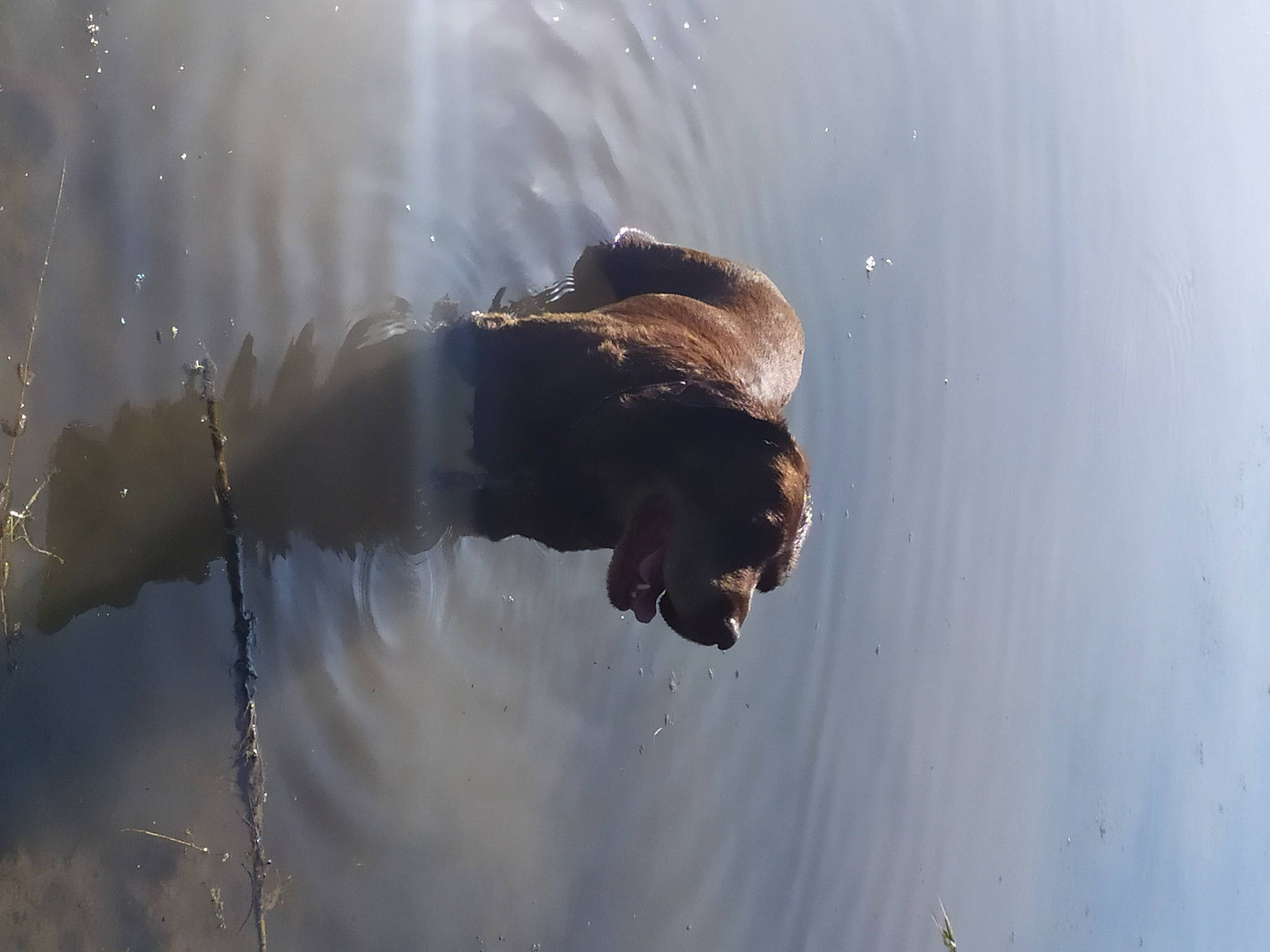 Falko a rejoint le concours — aidez-le/la à gagner de superbes lots ! adventure, atmospheric_phenomenon, body_of_water, feather, freezing, grass, hand, happy, human_body, landscape, people_in_nature, plant, recreation, reflection, sky, smoke, sunglasses, tree, water, winter