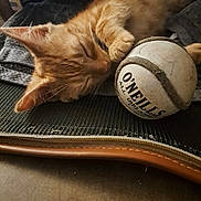 Rroû participe au concours pour gagner de l'argent avec cette photo : cat, kitten, sleeping, orange_tabby, paw, ball, toy, closeup, indoor, cozy, feline, pet, resting, fur, cute, domestic_animal, animal, soft, relaxation, texture