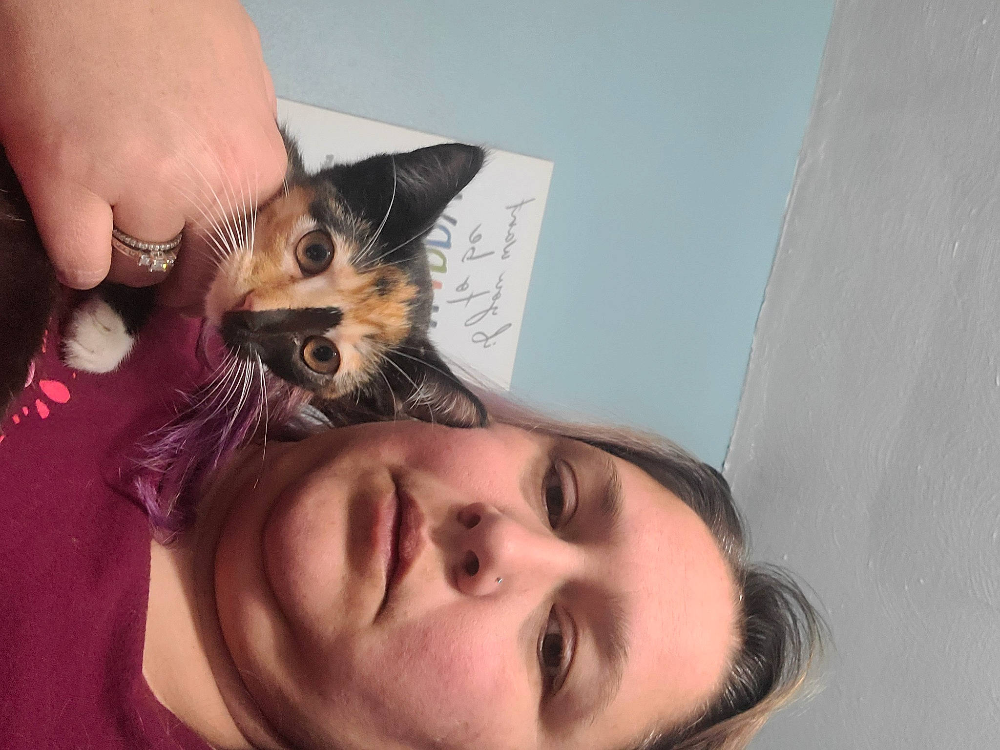 Siggy joined the competition — help win amazing prizes! beard, carnivore, cat, ear, eye, eyelash, felidae, fur, gesture, happy, iris, jaw, nail, neck, selfie, skin, small_to_medium_sized_cats, snout, tree, whiskers