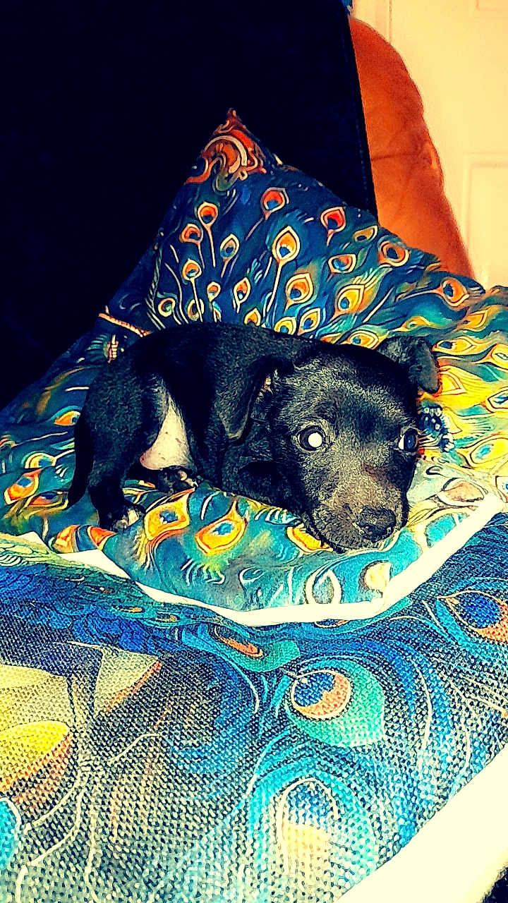Tobi