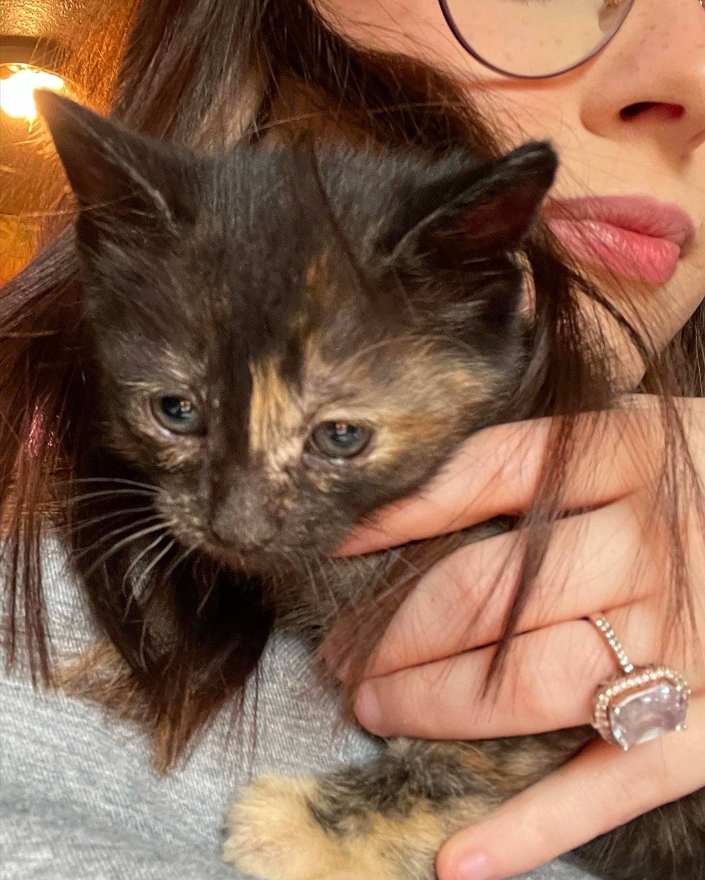 Nova is registered to the contest to win money with this photo: beard, carnivore, cat, domestic_short_haired_cat, ear, eye, eyelash, fawn, felidae, finger, gesture, goggles, happy, lap, nail, skin, small_to_medium_sized_cats, sunglasses, thumb, whiskers