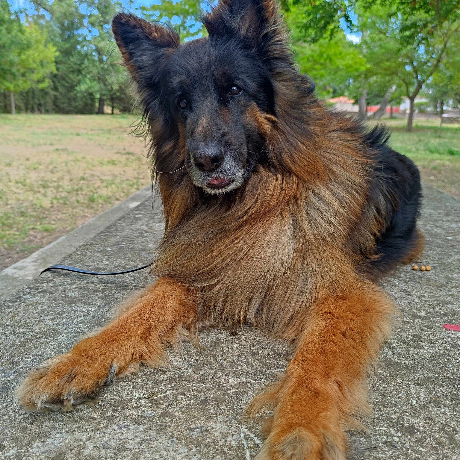 Maxx