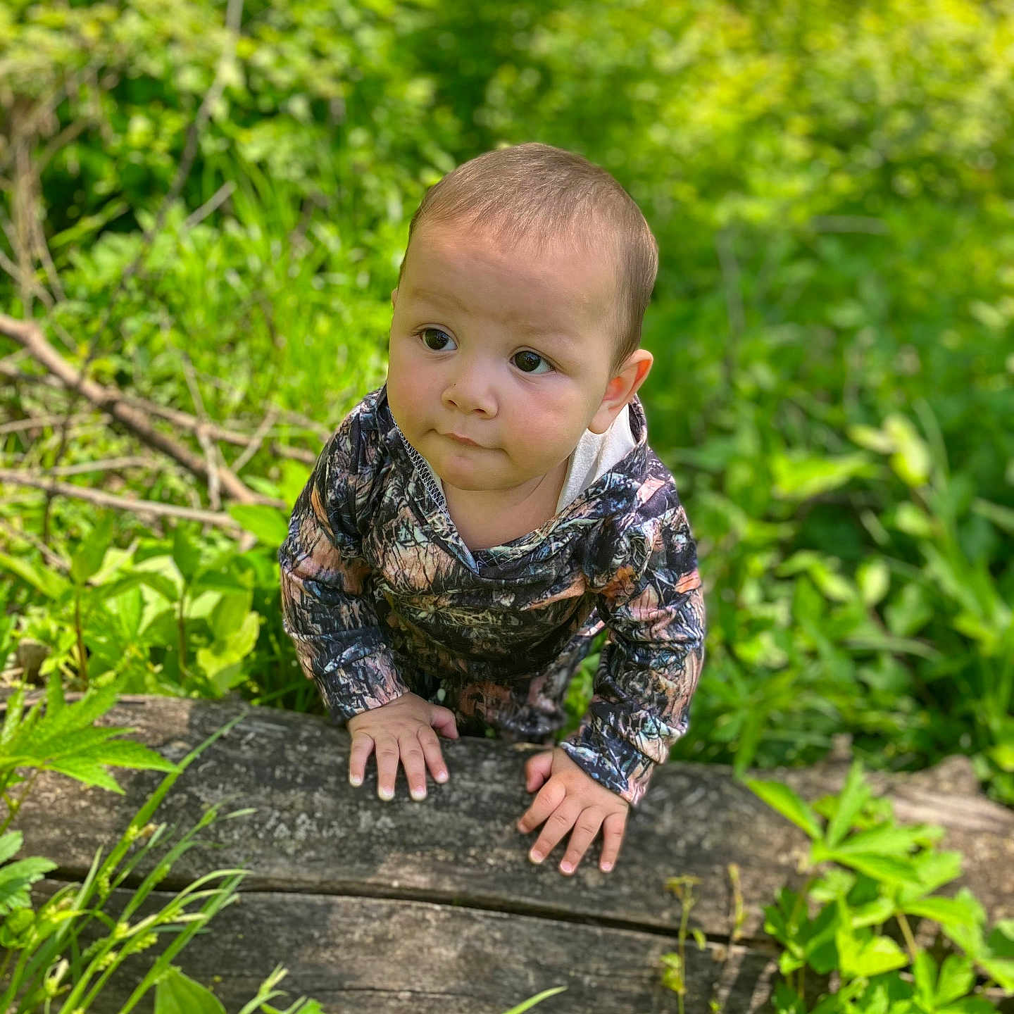 Westlee is registered to the contest to win money with this photo: baby, camouflage_clothing, child, crouching, curious, daylight, exploring, forest, greenery, hands, leaves, log, nature, outdoor, person, plants, portrait, toddler, wood, young_child