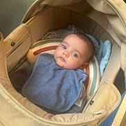 Miller joined the competition — help win amazing prizes! baby, stroller, blue_bib, blanket, rainbow_cushion, infant, face, eyes, clothing, comfort, indoor, soft_light, cute, child, portrait, resting, young, people, head, cozy
