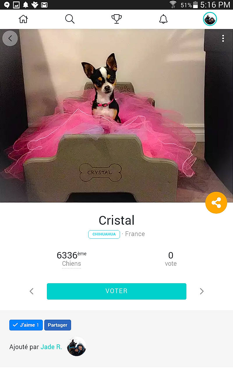 Crystal a rejoint le concours — aidez-le/la à gagner de superbes lots ! canidae, non_sporting_group, product, screenshot, toy_dog, website