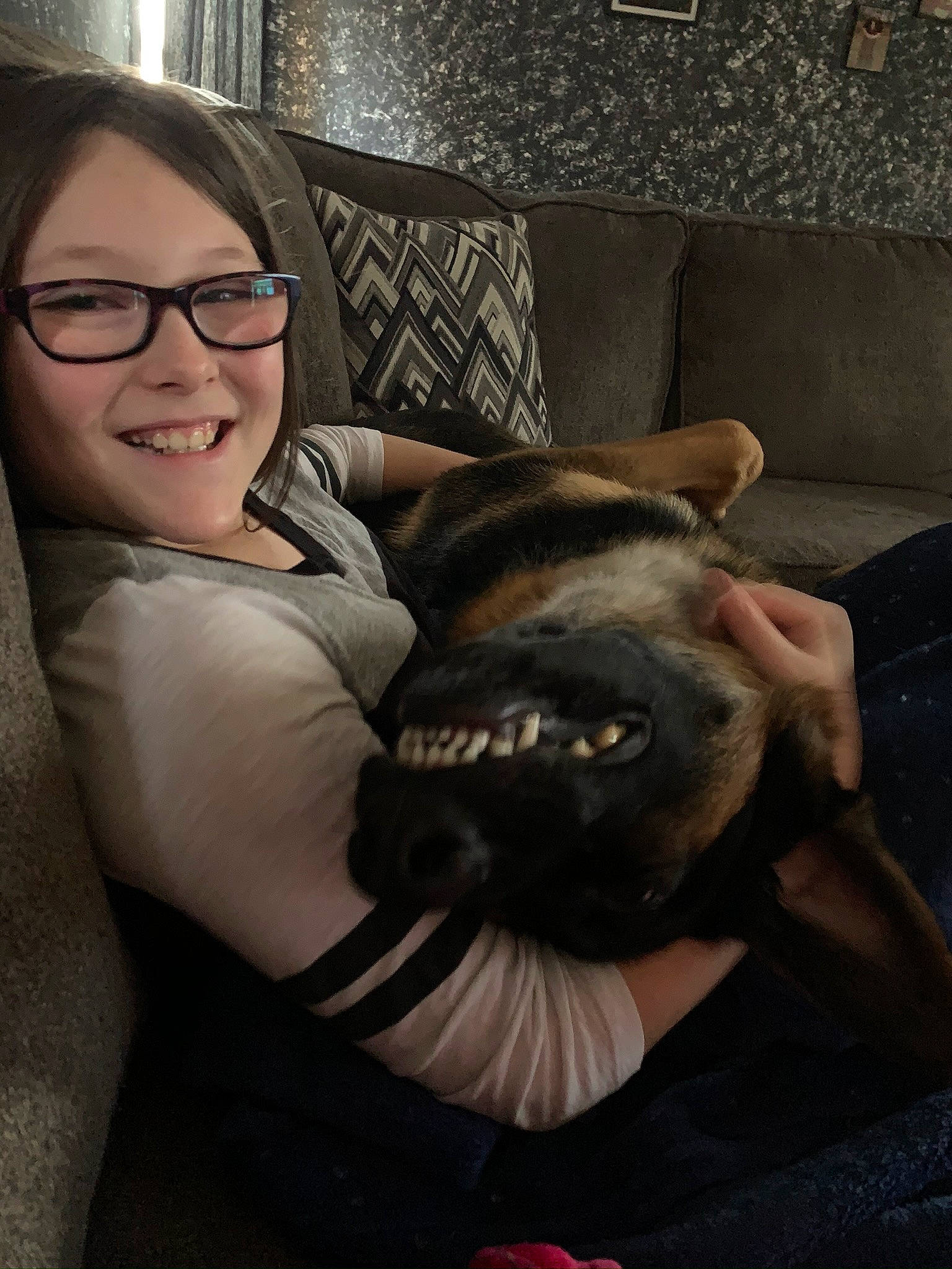 Joker joined the competition — help win amazing prizes! carnivore, comfort, companion_dog, couch, dog, dog_breed, ear, eyewear, fawn, felidae, fur, gesture, glasses, happy, head, mammal, sitting, small_to_medium_sized_cats, smile, whiskers