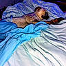 animal, bed, blanket, blue_blanket, canine, comfort, cozy, dog, domestic, fur, furniture, indoors, nap, peaceful, pet, quiet, relaxation, resting, sleeping, white_blanket