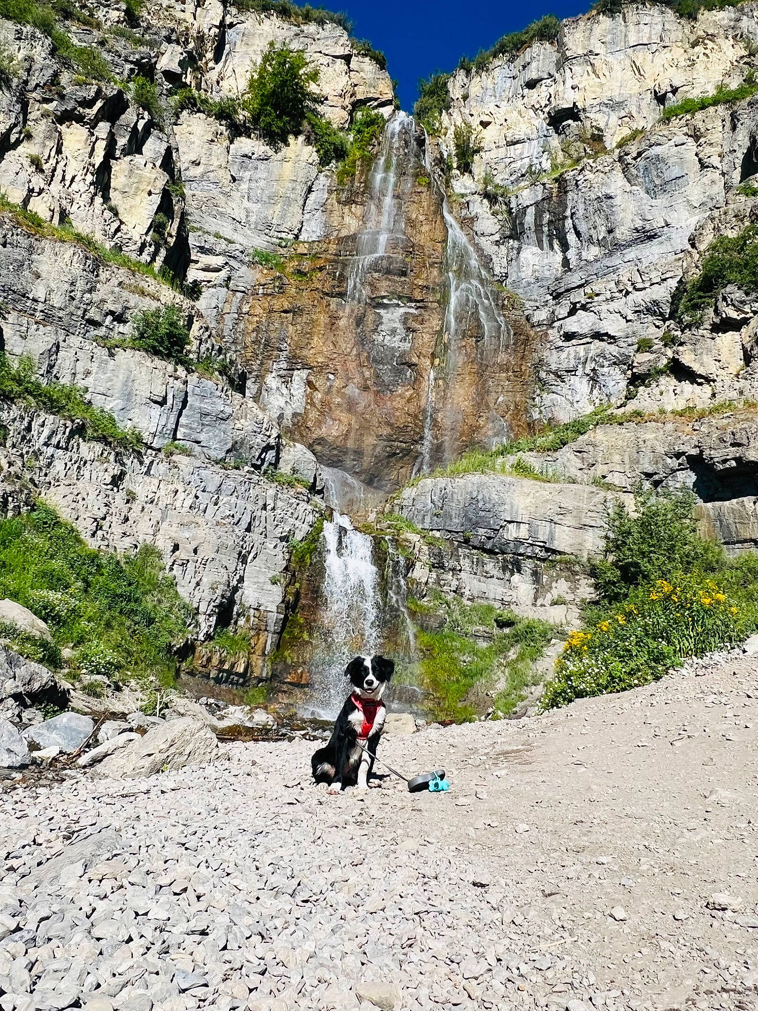 Bailee is registered to the contest to win money with this photo: bedrock, climbing, fault, formation, geological_phenomenon, highland, landscape, mountain, mountain_range, mountainous_landforms, outcrop, plant, recreation, rock_climbing_equipment, sky, slope, sports, terrain, tree, valley