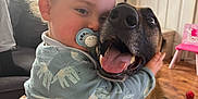 Rowan is registered to the contest to win money with this photo: toddler, child, pacifier, dog, german_shepherd, hugging, indoor, living_room, smile, affection, cute, baby_clothes, pet, fur, face, happy, floor, chair, curtains, window