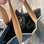 Boulette a rejoint le concours — aidez-le/la à gagner de superbes lots ! black_cat, cat, tote_bag, peeking, yellow_eye, whiskers, paw, hand, bag_straps, denim, wooden_floor, socks, indoor, close_up, curious, pet, portrait, furniture_floor, canvas_bag, playful