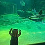 Amélia a rejoint le concours — aidez-le/la à gagner de superbes lots ! aquarium, child, clothing, curious, display, exhibit, fish, glass, hat, indoor, marine_life, observation, rocks, sand, shark, silhouette, sunken_structure, toddler, underwater, water