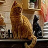 animal, black_cat_statue, cat, cozy, decor, furniture, home, indoor, orange_cat, ornament, pet, potted_plant, rustic, sitting, statue, still_life, tail, vase, wooden_shelf, wooden_wall