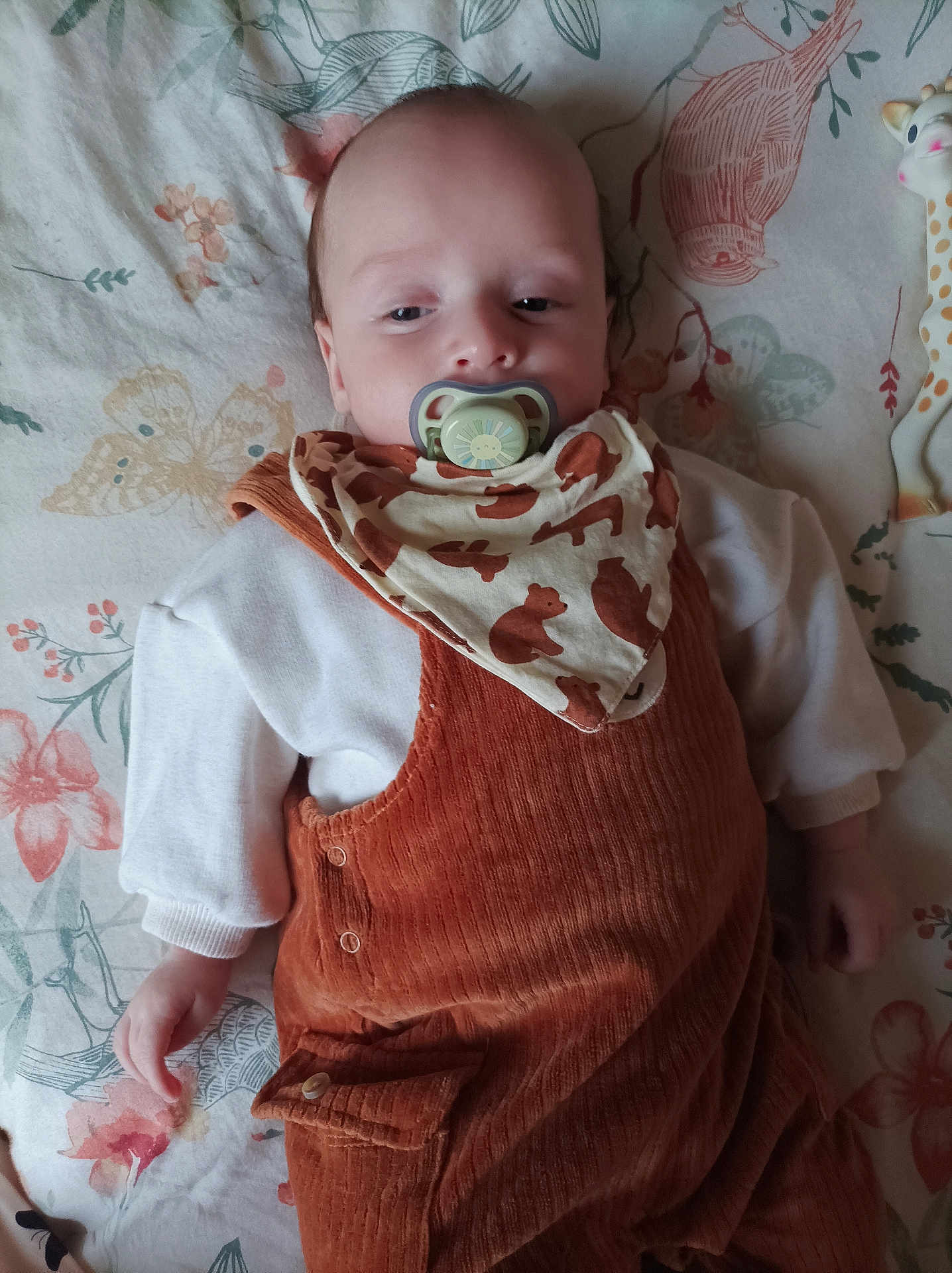 Alès Kylian participe au concours pour gagner de l'argent avec cette photo : baby, bib, blanket, child, clothing, cute, face, floral_pattern, giraffe_toy, hand, head, indoors, infant, lying_down, pacifier, peaceful, portrait, romper, sleepwear, soft_lighting