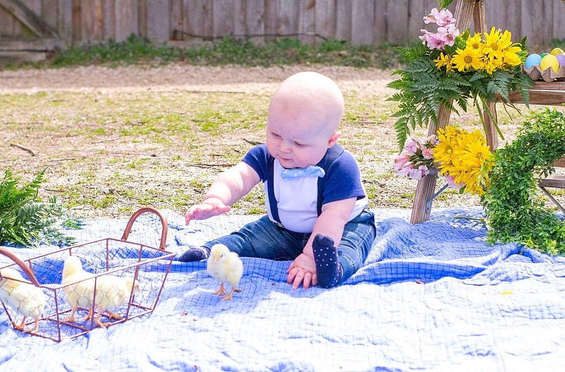 Braeden joined the competition — help win amazing prizes! child, flower, grass, person, plant, play, sitting, toddler, wildflower