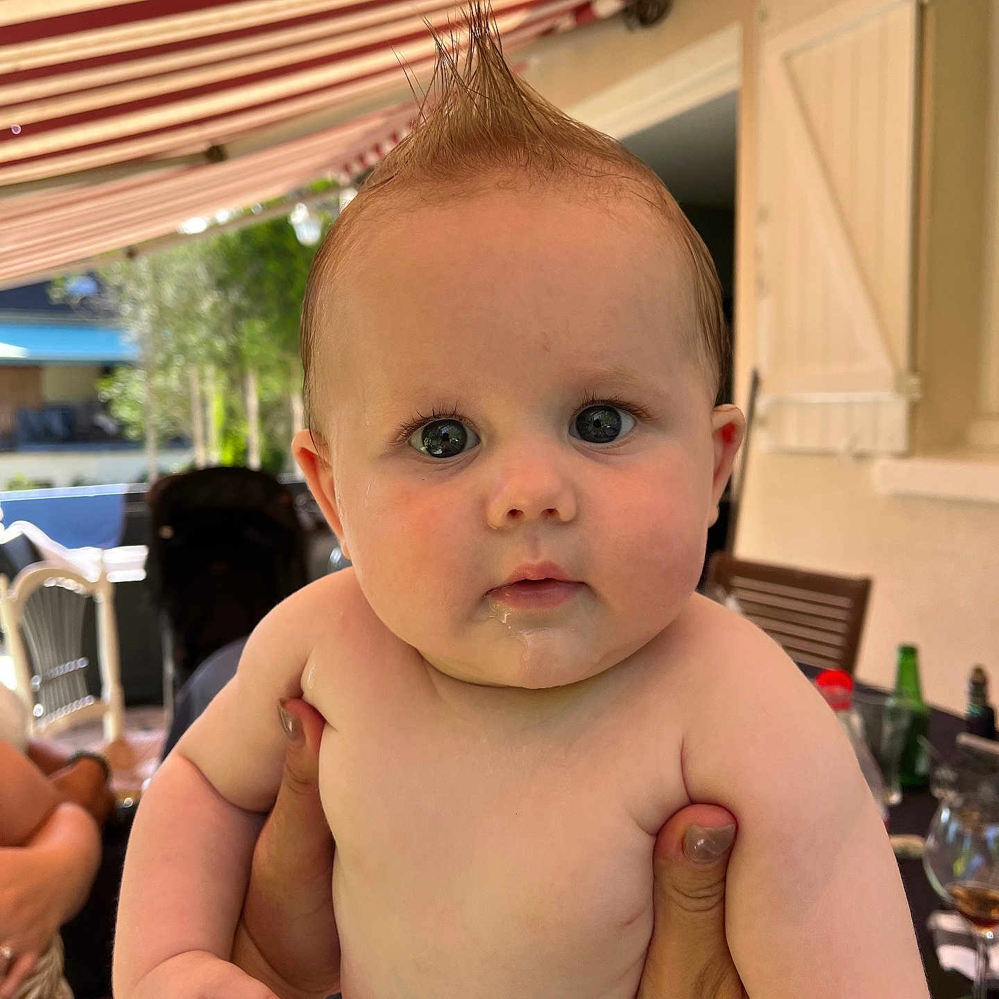 Lony a rejoint le concours — aidez-le/la à gagner de superbes lots ! awning, baby, child, curious, daylight, drool, expression, face, furniture, glass, hair, hands, holding, mohaawk, outdoor, patio, person, skin, table, window