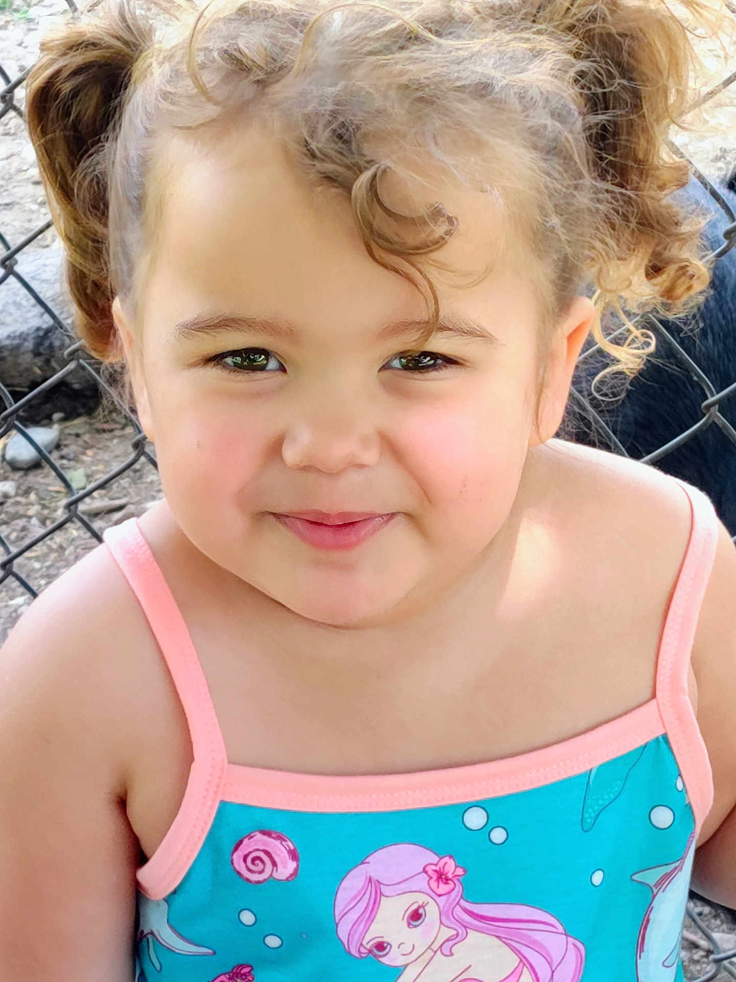 Novalynn