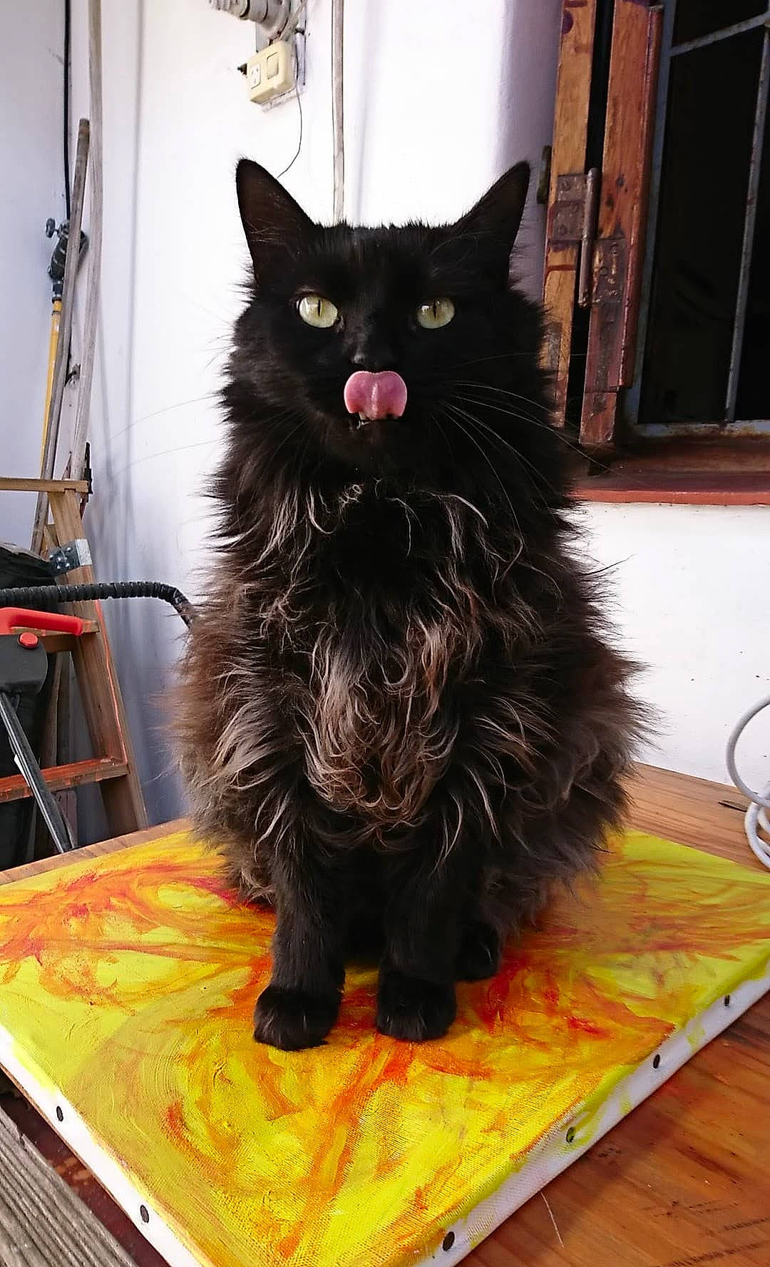 Mirko