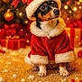 dog, christmas, santa_hat, holiday, festive, cute, puppy, red_clothing, snow, decorations, christmas_tree, bokeh, lights, winter, gift, celebration, animal, costume, background, seasonal