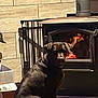animal, black_dog, calm, cardboard_box, cozy, dog, domestic, fire, flames, floor, heating, home, indoor, pet, quiet, shadow, sitting, tiled_wall, warm_light, wood_stove
