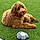 Charlie