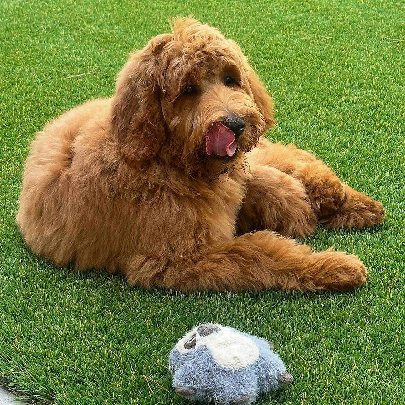 Charlie