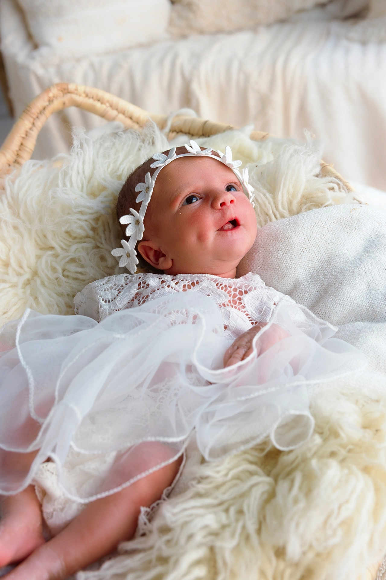 Dana participe au concours pour gagner de l'argent avec cette photo : baby, infant, white_dress, lace, headband, flower_crown, fluffy_blanket, basket, soft_texture, portrait, cute, newborn, sleeping_area, cozy, indoors, light, closeup, skin, child, peaceful