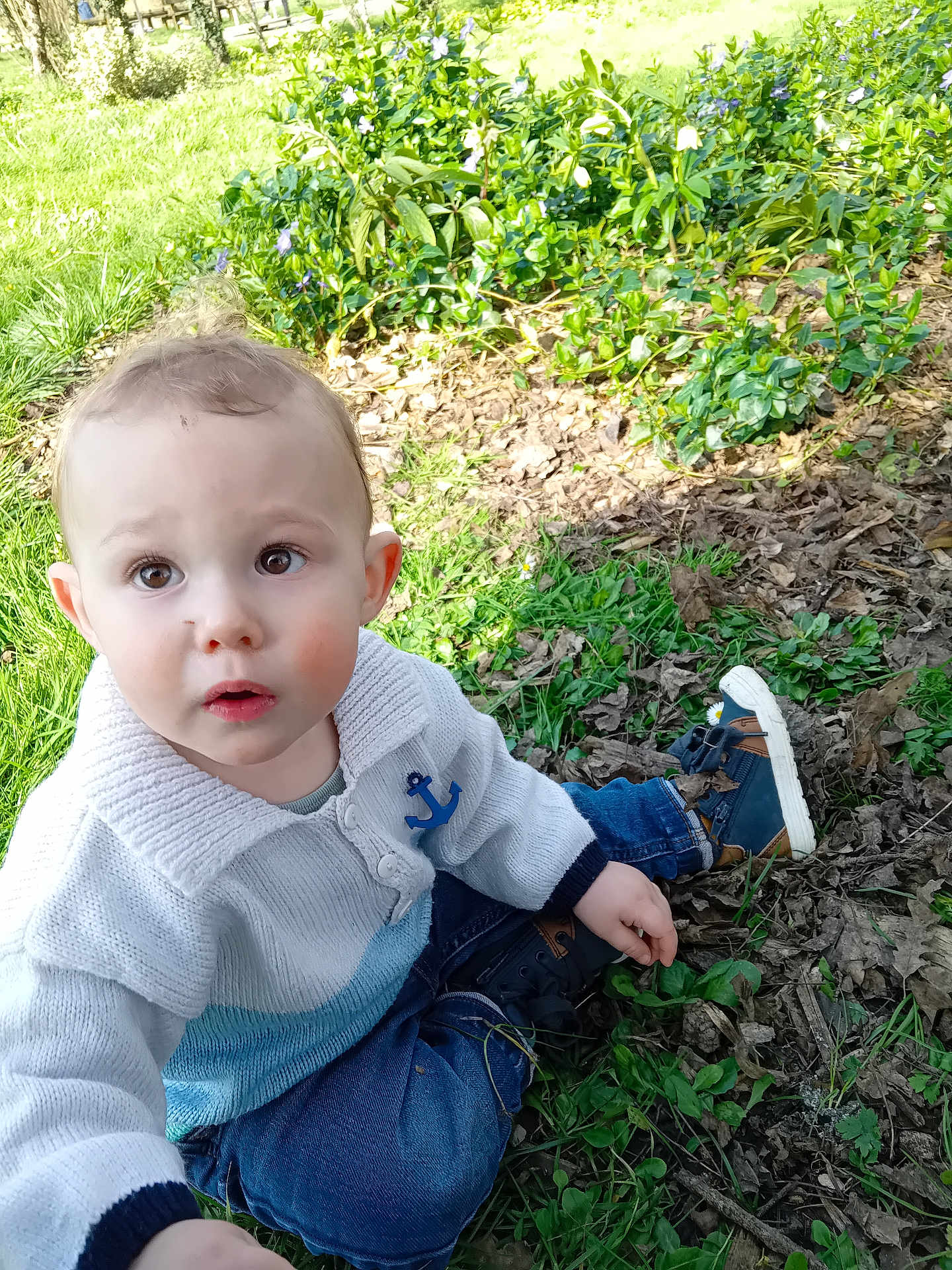 Hector participe au concours pour gagner de l'argent avec cette photo : child, toddler, baby, face, outdoor, grass, leaves, plants, shoe, sneaker, jeans, sweater, anchor_badge, eyes, expression, portrait, sitting, curious, daylight, nature