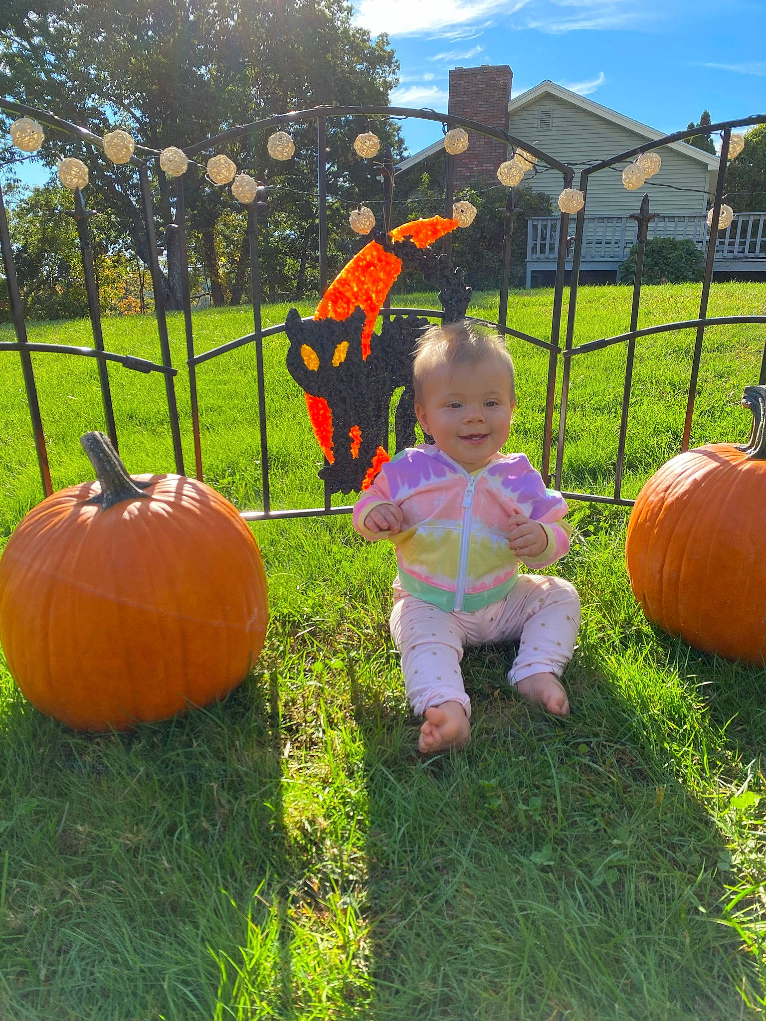 Maliyah joined the competition — help win amazing prizes! calabaza, cloud, cucurbita, gourd, grass, grassland, happy, joy, leisure, meadow, orange, people_in_nature, person, plant, pumpkin, sky, smile, squash, toddler, tree