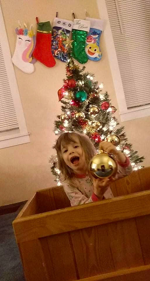 August is registered to the contest to win money with this photo: carnivore, christmas, christmas_decoration, christmas_eve, christmas_ornament, christmas_tree, dog, event, fun, head, holiday, holiday_ornament, ornament, person, room, smile, toy, tree, white, wood