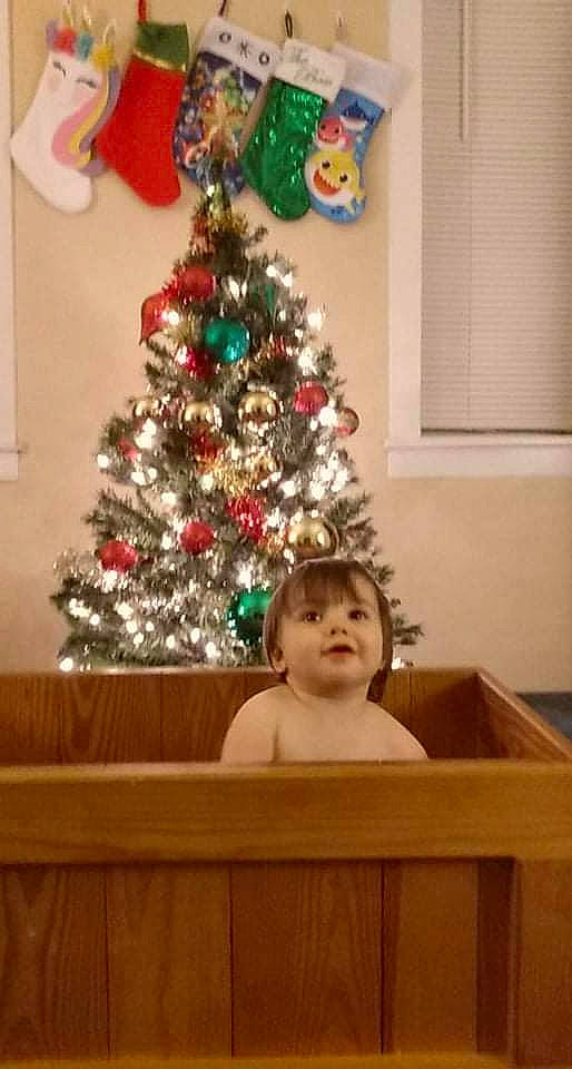 Zachary joined the competition — help win amazing prizes! christmas, christmas_decoration, christmas_ornament, christmas_tree, event, evergreen, hair, head, holiday, holiday_ornament, ornament, person, photograph, plant, room, snapshot, standing, tints_and_shades, toddler, tree