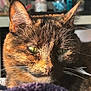 cat, tortoiseshell, close_up, green_eyes, fur, whiskers, sunlight, indoor, pet, animal, domestic_cat, portrait, relaxed, feline, face, ears, sleepy, soft_light, warm_colors, blurred_background