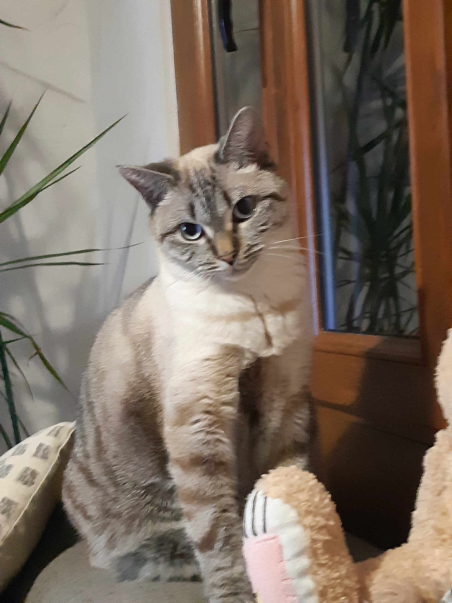 Milky