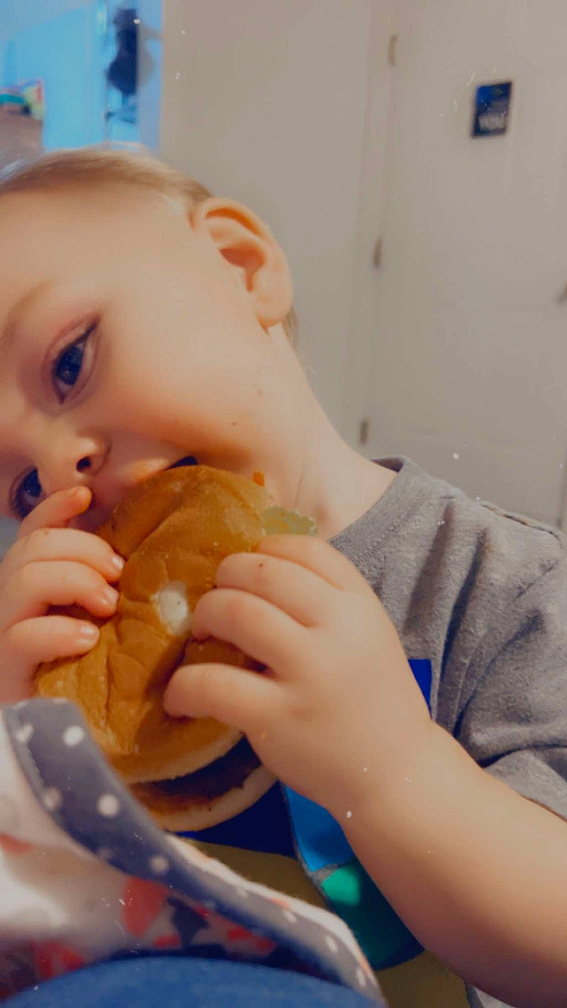 Mason joined the competition — help win amazing prizes! baked_goods, blue, comfort_food, cuisine, dish, finger, finger_food, food, food_craving, gesture, hand, ingredient, jaw, junk_food, mouth, nail, person, stuffed_toy, sweetness, thumb