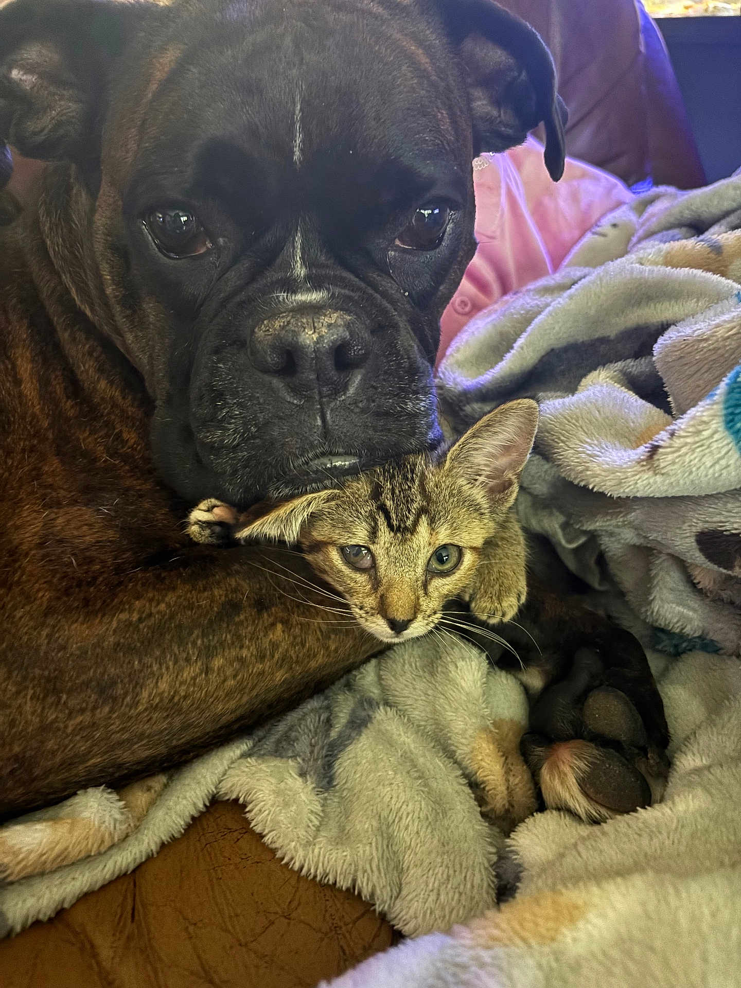 Emmy And Reese